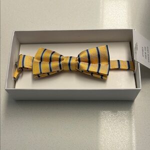 Appaman Kids Gold and Navy Striped Bow Tie